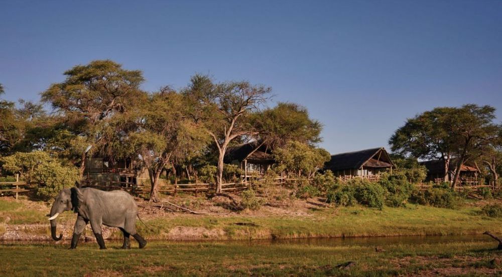 Chobe Nationalpark, Belmond Savute Elephant Lodge, Botswana Reise 
