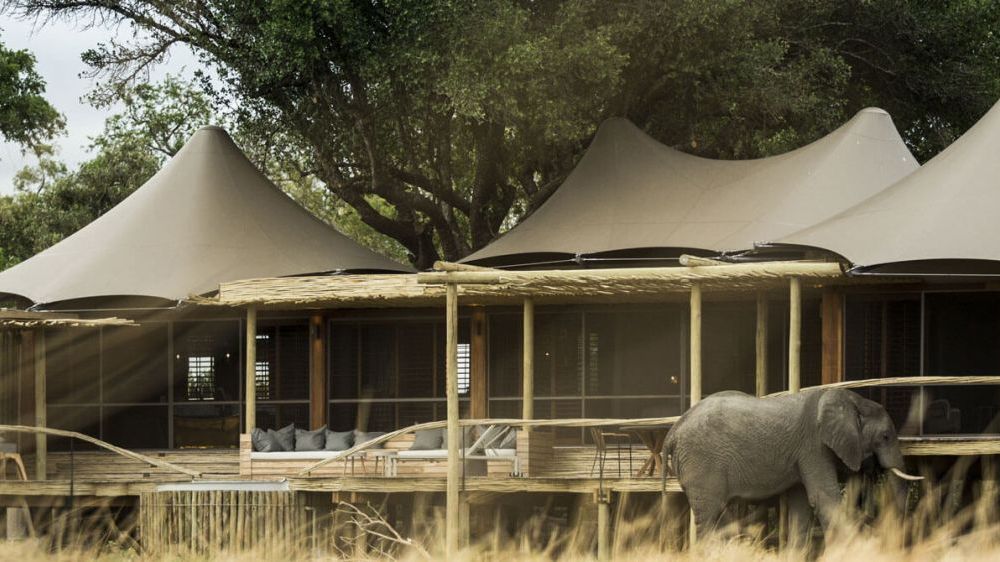 Okavango Delta, Ausblick mit Elefanten, Little Mombo Camp, Botswana Reise 