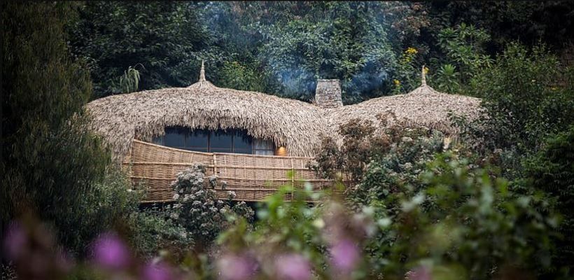 Privatreise Uganda, Bisate Lodge, Volcanoes Nationalpark, Ruanda, Uganda