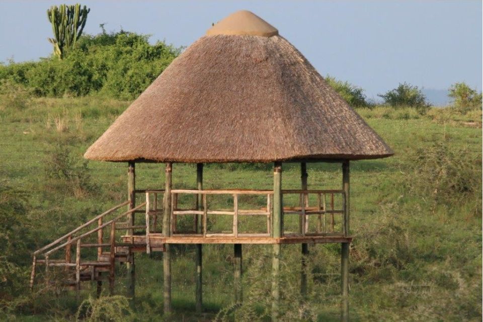 Safari Uganda, Aussichtsplattform, Kasenyi Safari Camp, Queen Elizabeth, Nationalpark, Uganda