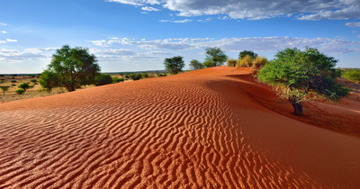 Beeindruckende Landschaft der Kalahri Wüste, Namibia Reisen