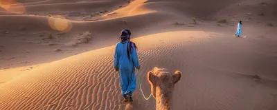 Privatreise Marokko, Nomaden mit ihrem Kamel, Sahara Wüste, Marokko Reise