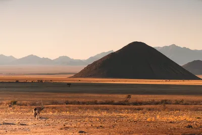 Ein Sehnsuchtsort Afrikas: die Wüste Namib in Namibia