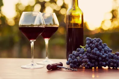 Privatreise Südafrika, Wein, Stellenbosch, Mietwagenreise Südafrika vom Feinsten