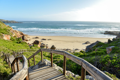Plettenberg Bay, Südafrika, Reisebericht Gardenroute