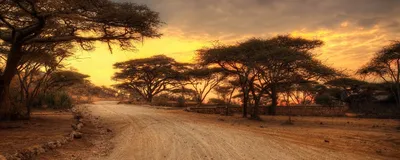 Tansania, Serengeti Nationalpark