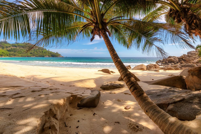 Individualreise Südafrika, Strand Seychellen, Afrikas Tierwelt vereint mit nostalgischem Luxus, Südafrika