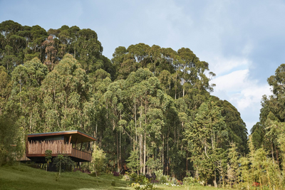 One & Only Gorilla's Nest, Ruanda Reisen