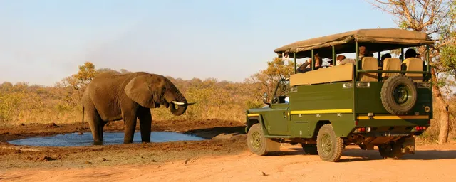 Kenia Privatreise, Safari, Elefant