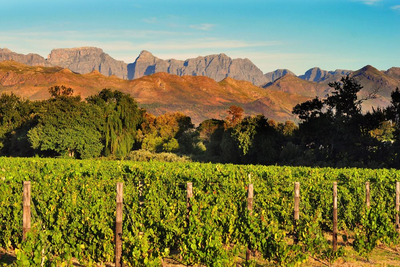 Privatreise Südafrika, Weinregion Paarl, Mietwagenreise Gardenroute und Swasiland, Südafrika