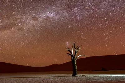 Toller Sternenhimmel, Dead Vlei, Namibia Reise