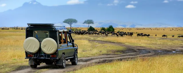 Privatreise, Safari, Kenia Reise