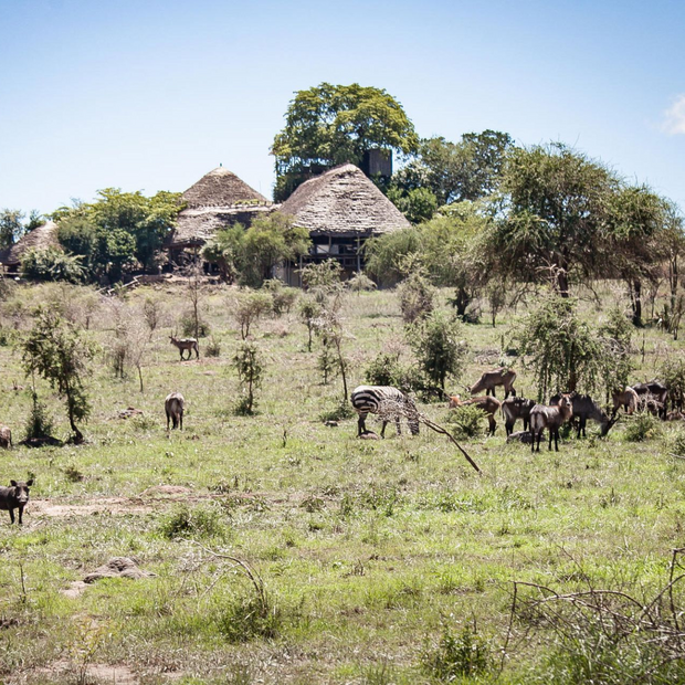 Apoka Safari Lodge, Kidepo Valley Nationalpark, Uganda Rundreise