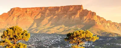 Tafelberg, Südafrika, Afrika Reise