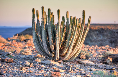 Landschaft, Namibia Rundreise