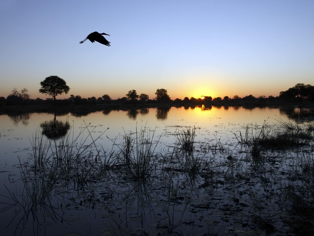 Okavango Delta, Reise Botswana 