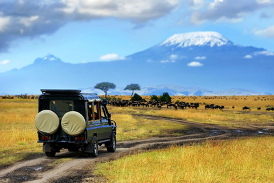 Safari im Masai Mara Nationalpark, Kenia Privatreise