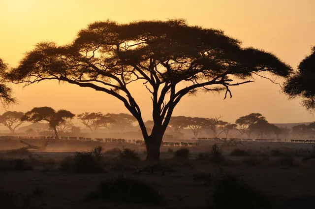 Privatreise Kenia, Sonnenuntergang, Masai Mara, Kenia Safari