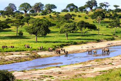 Privatreise Tansania, Flussüberquerung, Serengeti Nationalpark, Tansania Safari