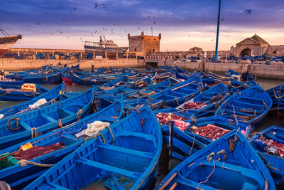 Individualreise Marokko, Blaue Boote im Hafen von Essaouira, Imi Ouaddar, Marokko