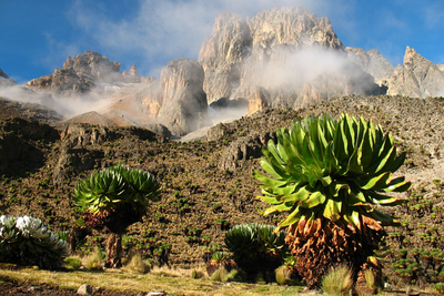 Mount Kenya, Kenia Rundreise