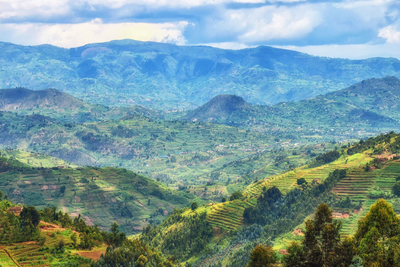 Nyungwe Nationalpark, Ruanda Reise