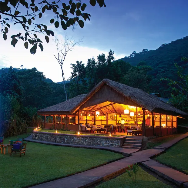 Privatreise Uganda, Garten, Sanctuary Gorilla Forest Camp, Bwindi Impenetrable National Park, Uganda