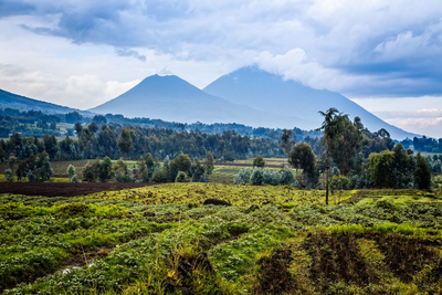 Virunga Vulkan, Nationalpark, Ruanda Reise