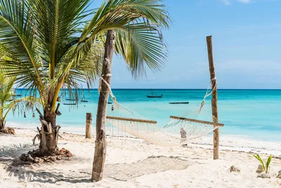Strand, Palmen, Kenia Reise
