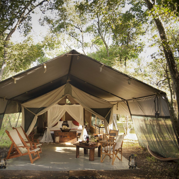 Privatreise Kenia, Mara Bushtops Camp, Masai Mara Nationalpark, Kenia Safari