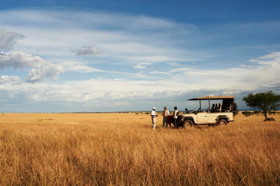Safari mit Jeep, Singita Lebombo, Südafrika Hochzeitsreise