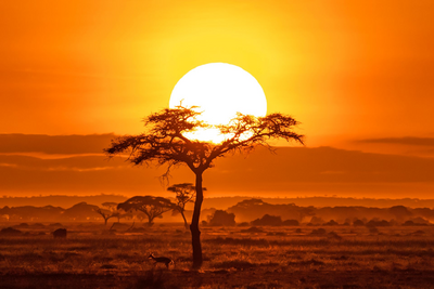 Amboseli Nationalpark, Sonnenuntergang, Kenia Rundreise