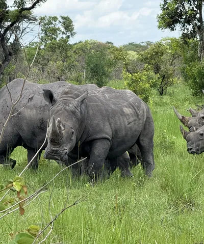 Ziwa Nashornpark, Uganda