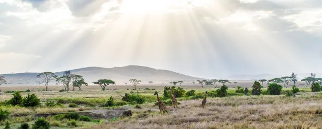 Kenia Rundreise, Serengeti, Sonnenstrahlen