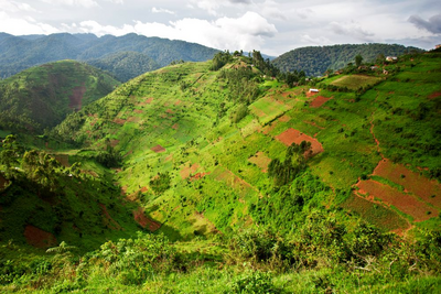Privatreise Uganda, Panoramabild, Bwindi National Park, Uganda