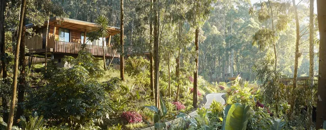 One & Only Gorilla's Nest, Ruanda Rundreisen