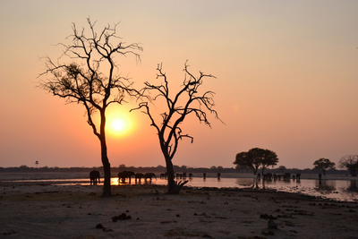 Sonnenuntergang Hwange Nationalpark, Simbabwe Reise