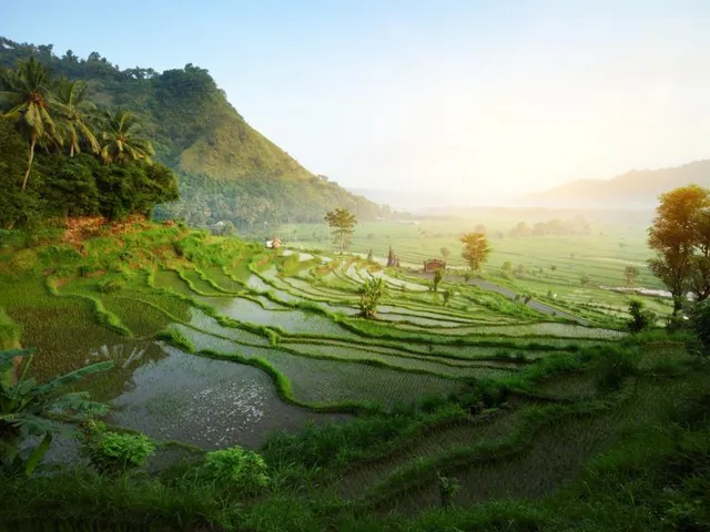 Reisterrassen, Indonesien Rundreise, Asien Special Tours
