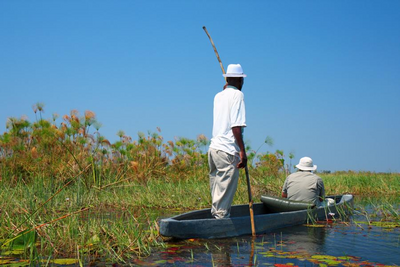 Mokoro Fahrt im Okavango Delta in Botswana