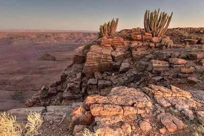 Vegetation im Fish River Canyon, Namibia Rundreise Süden