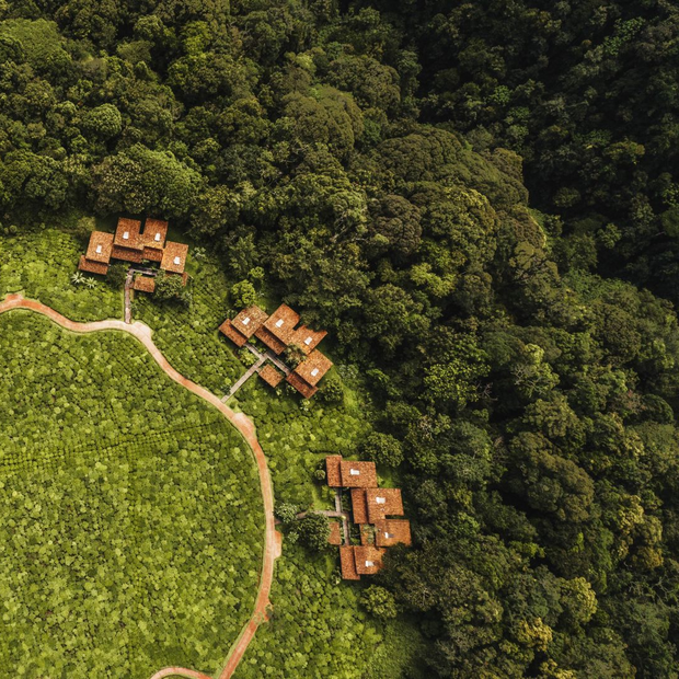 One and Only, Nyungwe House, Nyungwe Nationalpark, Ruanda Rundreise