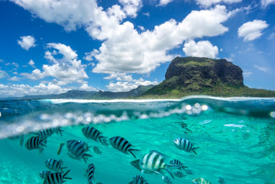 Unterwasserwelt, Le Morne Brabant, Mauritius, Südafrika Mauritius Reise