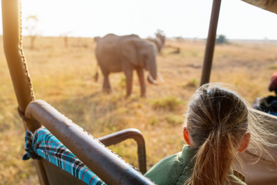Privatreise Südafrika, Safari, Krüger National Park, Mietwagenreise Gardenroute und Swasiland, Südafrika