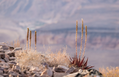 Fish River Canyon, Namibia Reise