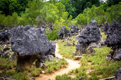 Anjajavy Tsingy, Madagaskar Reise
