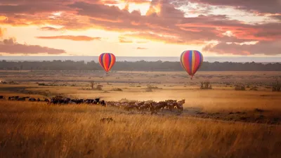 Heißluftballon über dem Masai Mara Naturreservat, Kenia Rundreise