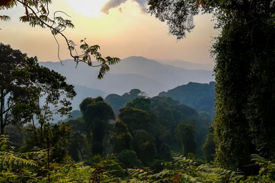Nyungwe Nationalpark, Ruanda Reise