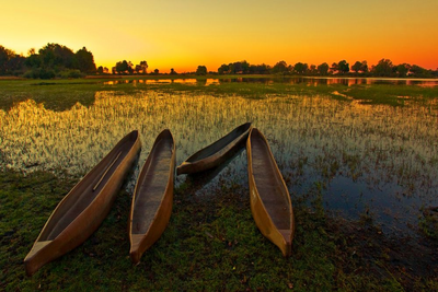 Safari Okavango Delta, Botswana Reise