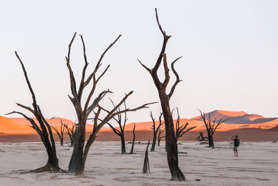 Namibia Mietwagenreise, Sossusvlei, Namib Wüste 