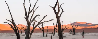 Namibia Mietwagenreise, Sossusvlei, Namib Wüste 